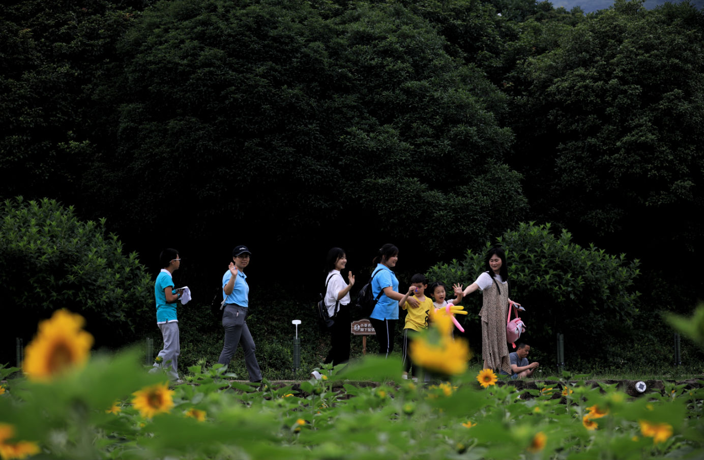 【日新环境心语】4月17日,“贪心”的努力