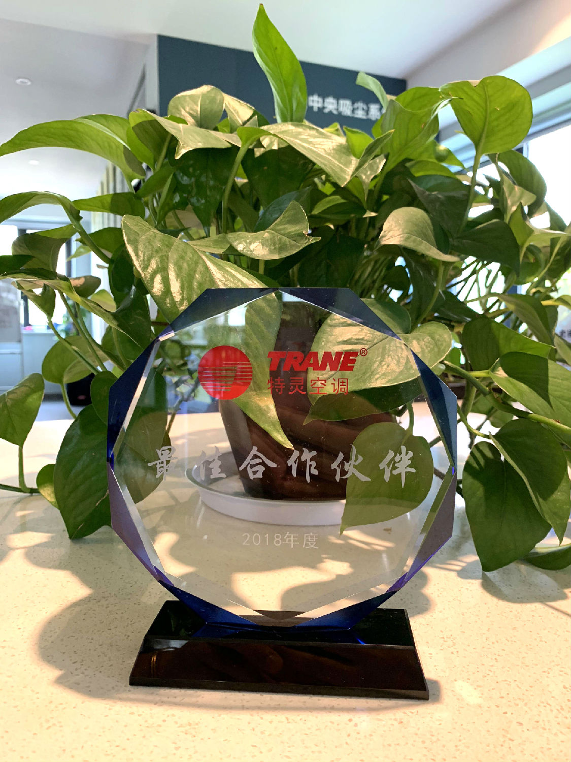 2018年度日新环境获得特灵空调“最佳合作伙伴奖”