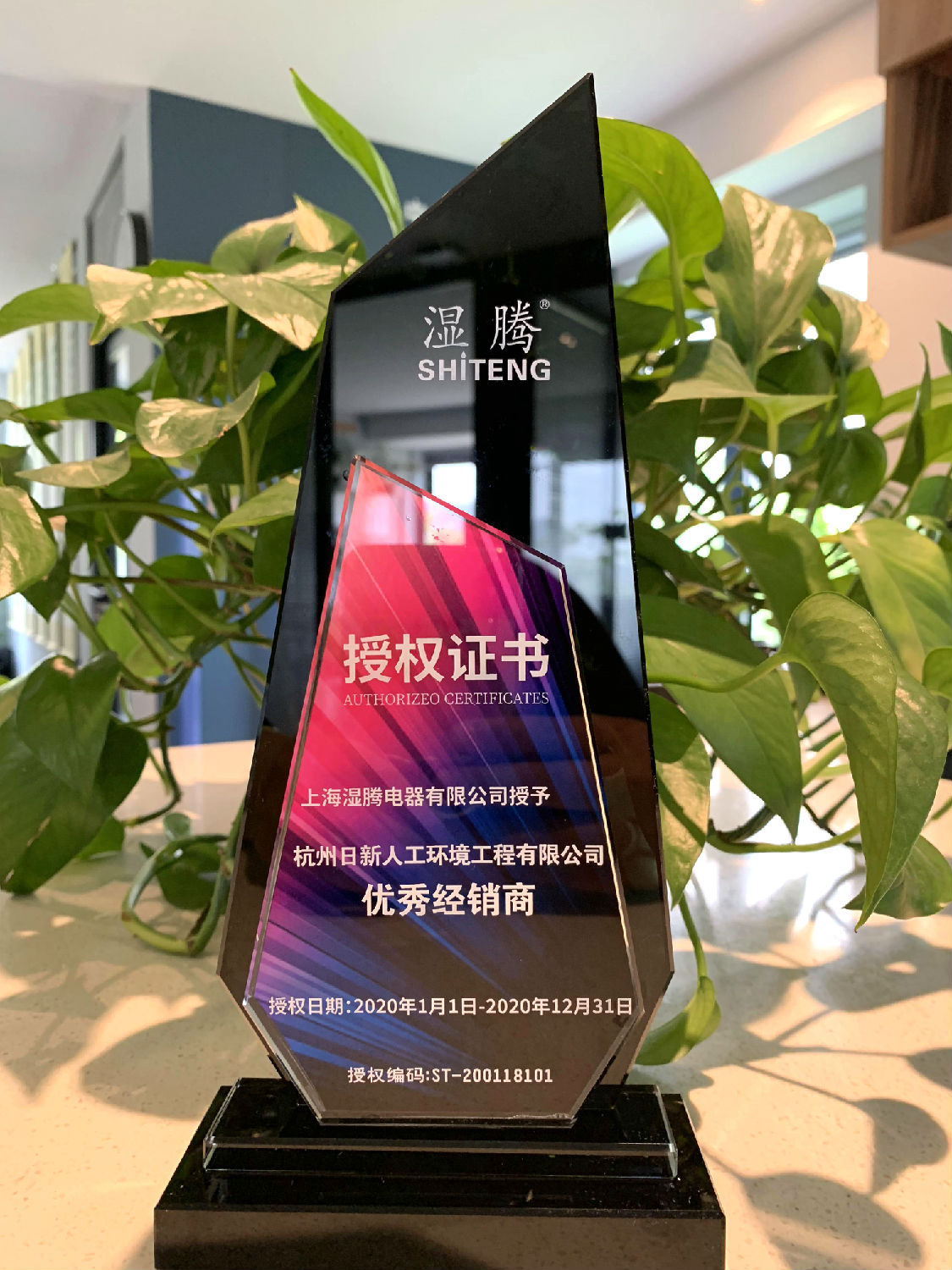 2020年日新环境湿腾经销商授权书