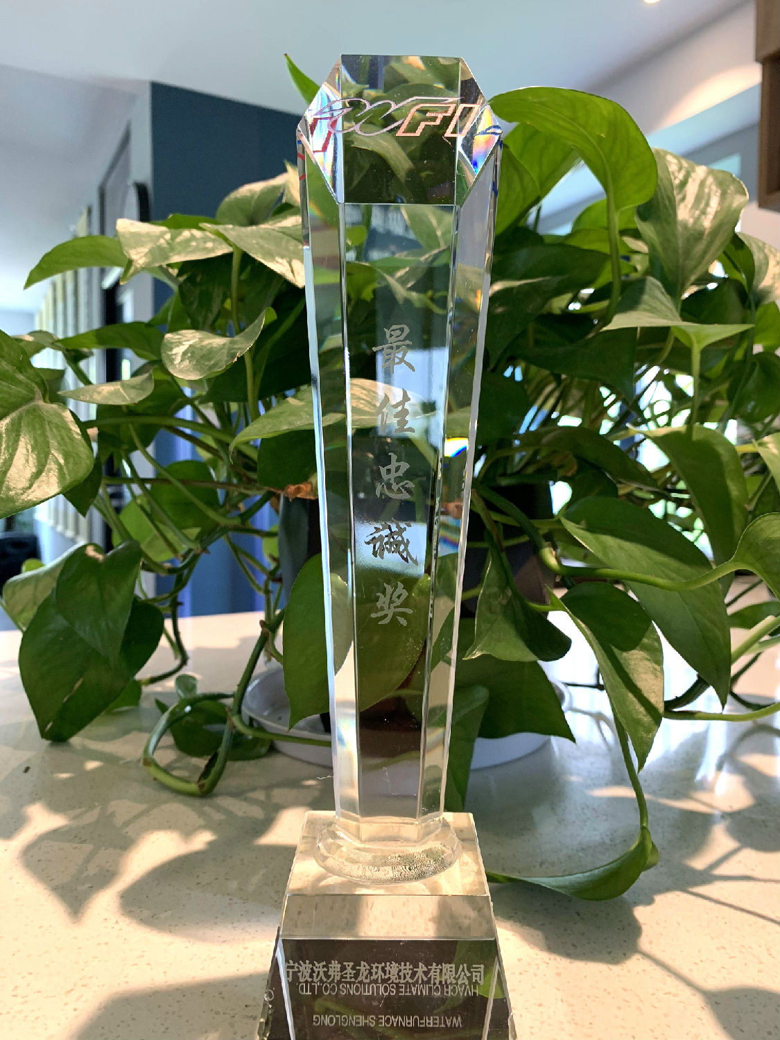 日新环境荣获WFI地源热泵中央空调颁发“最佳忠诚奖”