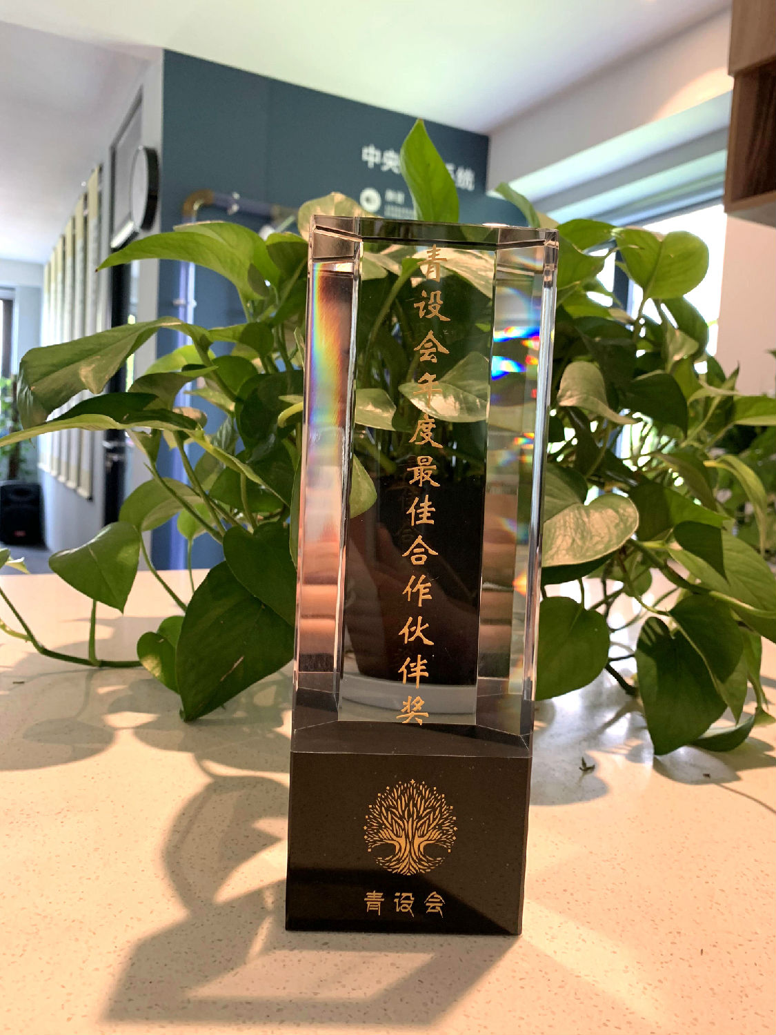 2019年日新环境荣获青设会年度最佳合作伙伴奖