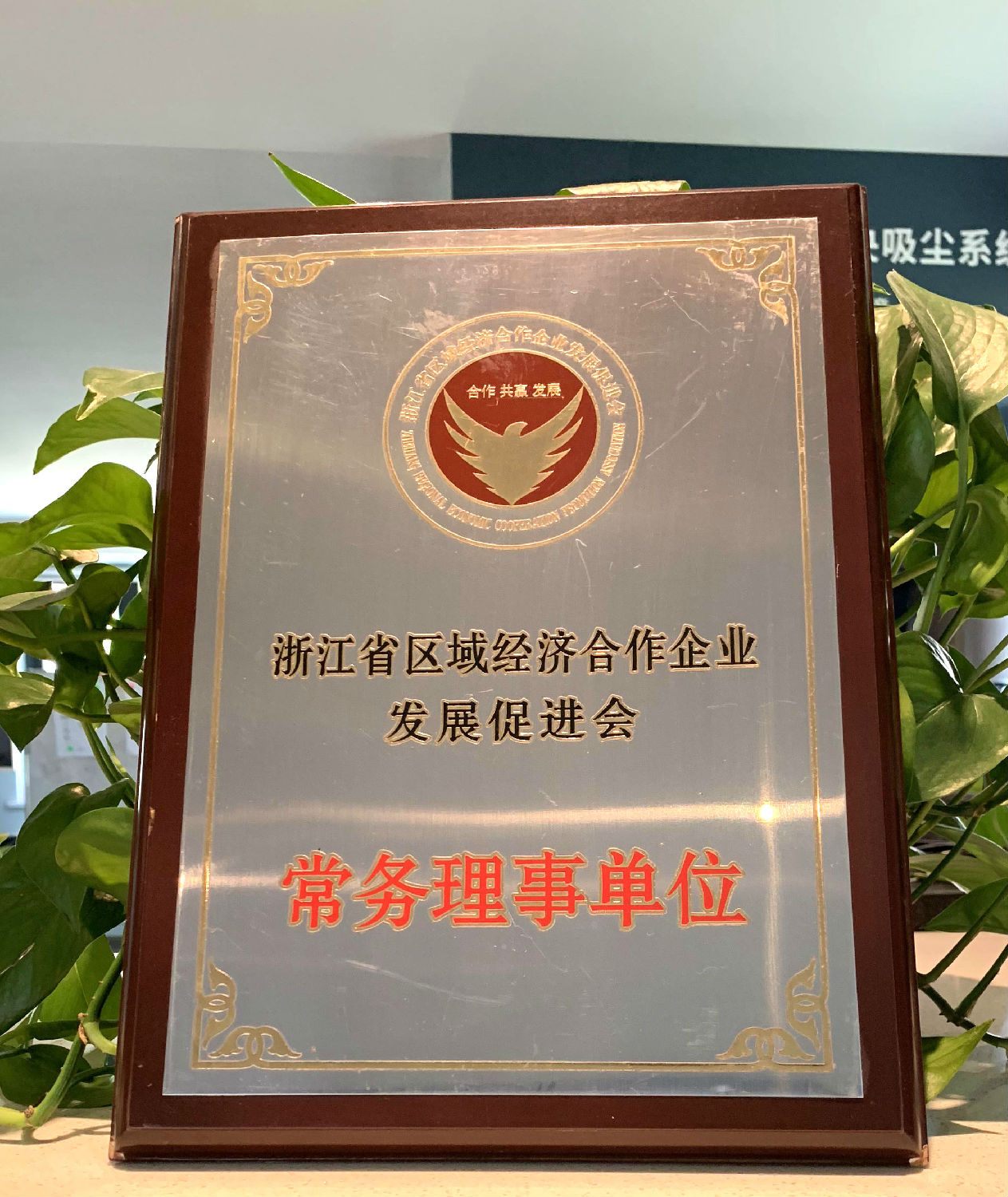 日新环境 浙江省区域经济合作企业发展促进会常务理事单位