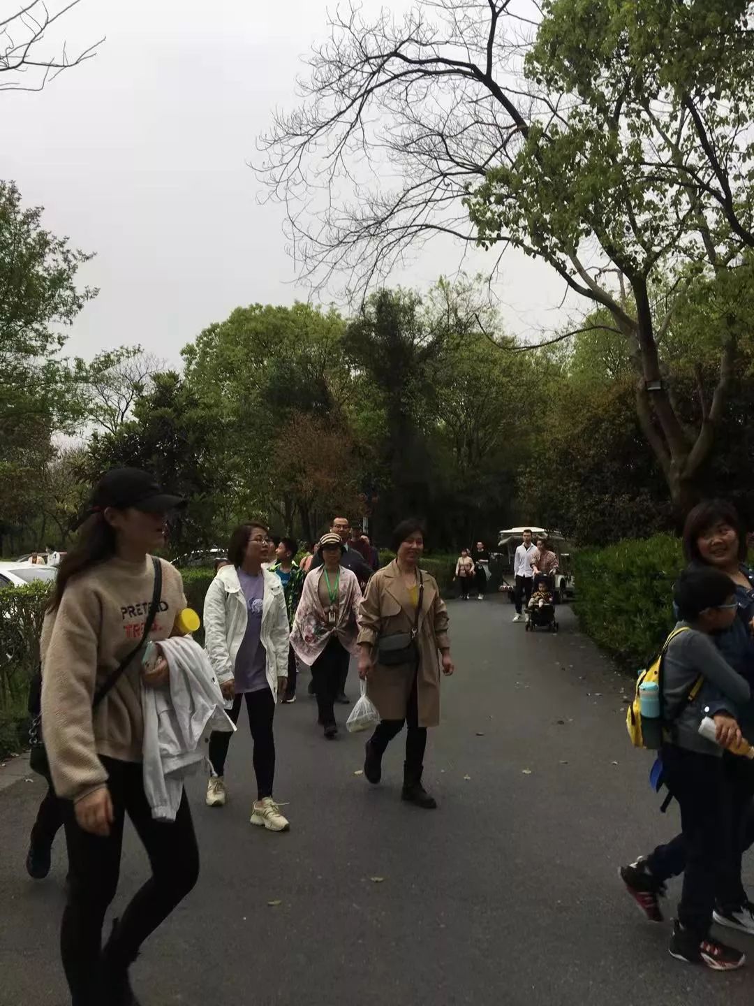 日新环境3月西溪湿地花朝节游记 日新环境3月西溪湿地花朝节游记