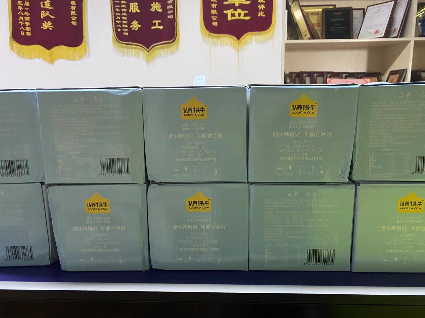 日新环境开展六一儿童节活动