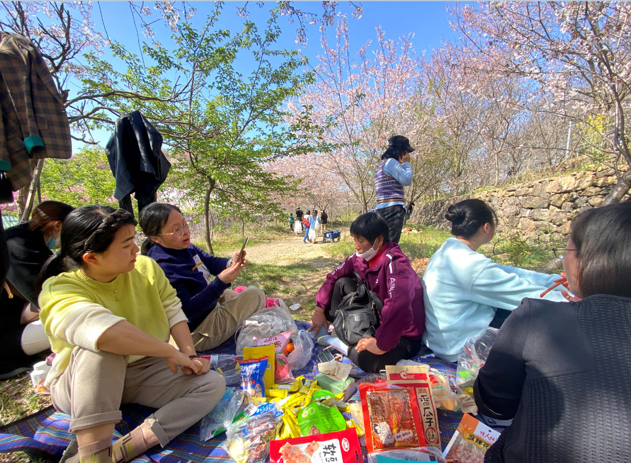 樱花谷之约！日新环境“三八”妇女节好精彩