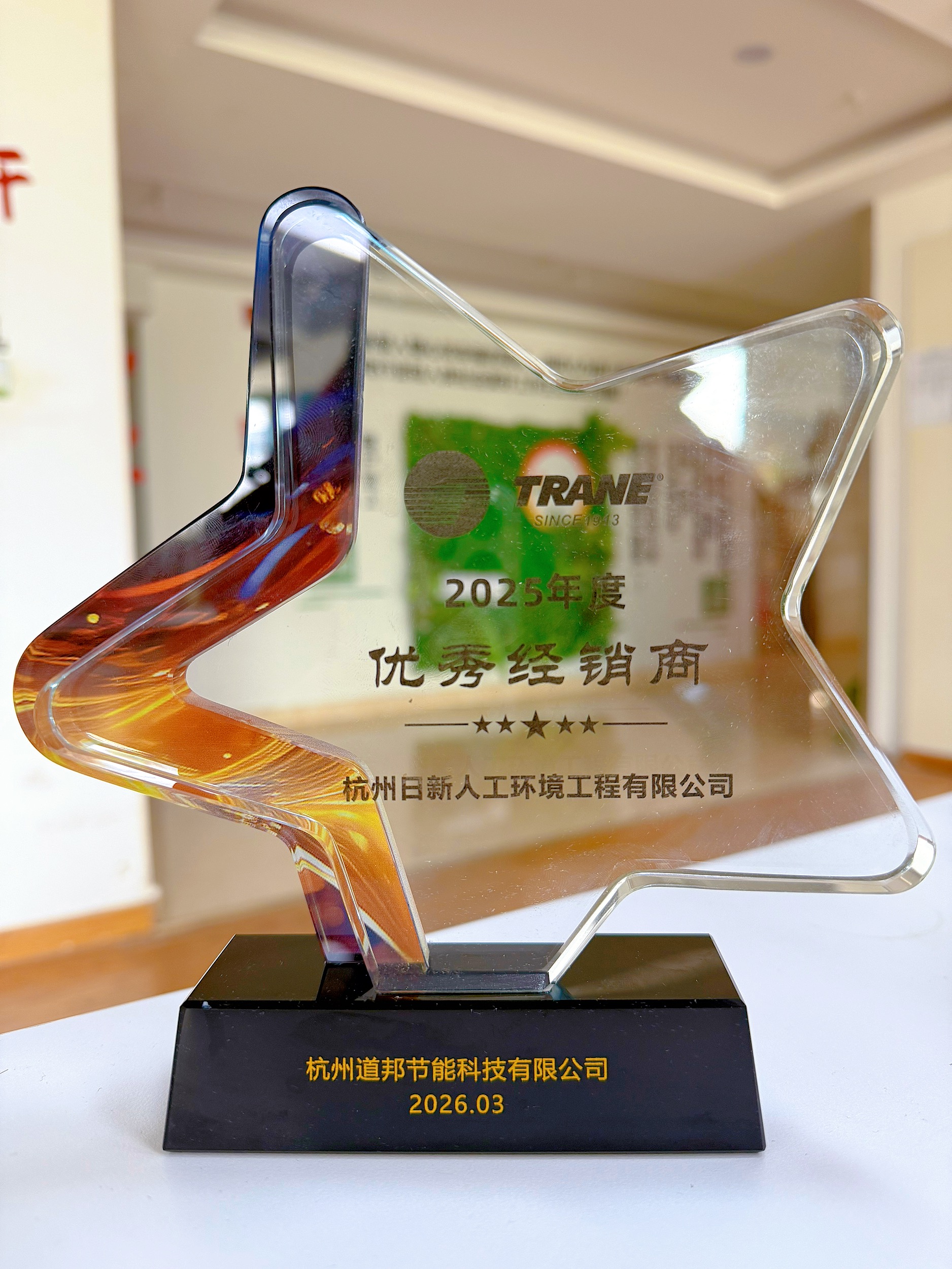 日新环境荣获2025年年度特灵优秀经销商